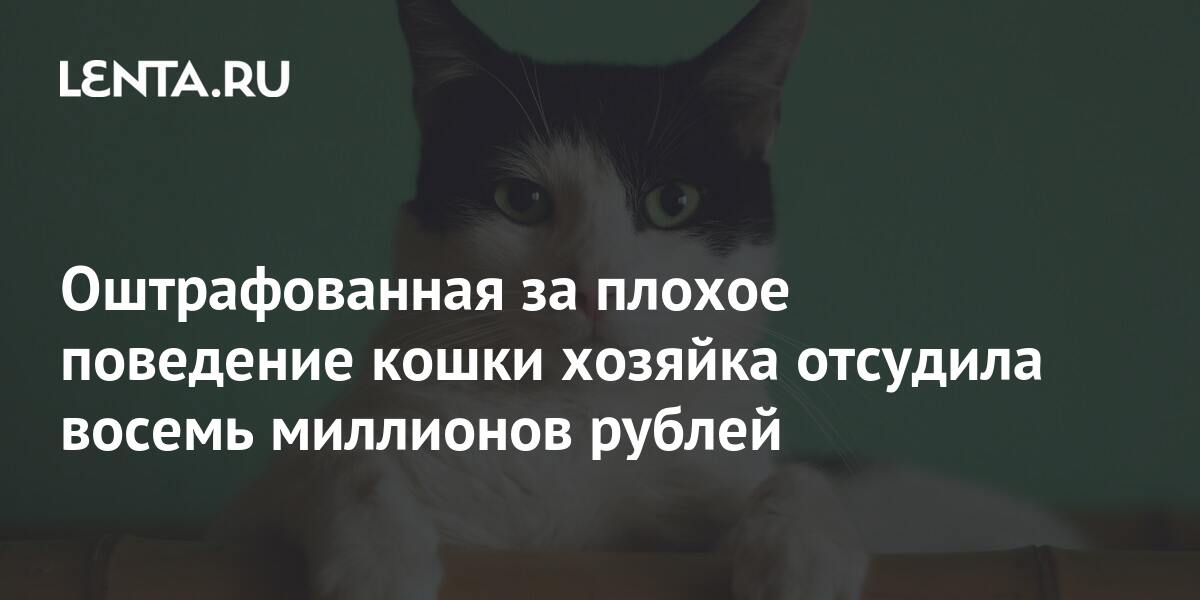 Оштрафованная за плохое поведение кошки хозяйка отсудила восемь миллионов  рублей: Люди: Из жизни: Lenta.ru