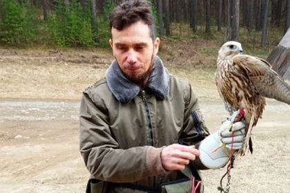 Уральские орнитологи подкинут в лес два десятка маленьких балобанов