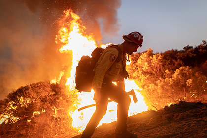 Подсчитан ущерб от лесных пожаров в США
