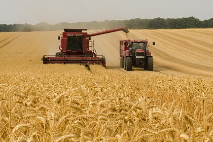 В России появится биржевой индекс пшеницы