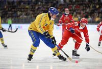 В Швеции рекомендовали отказаться от контрактов с российскими спортсменами 