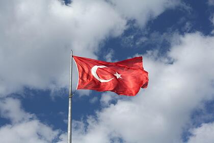 В  США призвали исключить Турцию из НАТО из-за ее политики