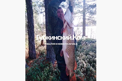Россиянин поймал 14-килограммовую щуку
