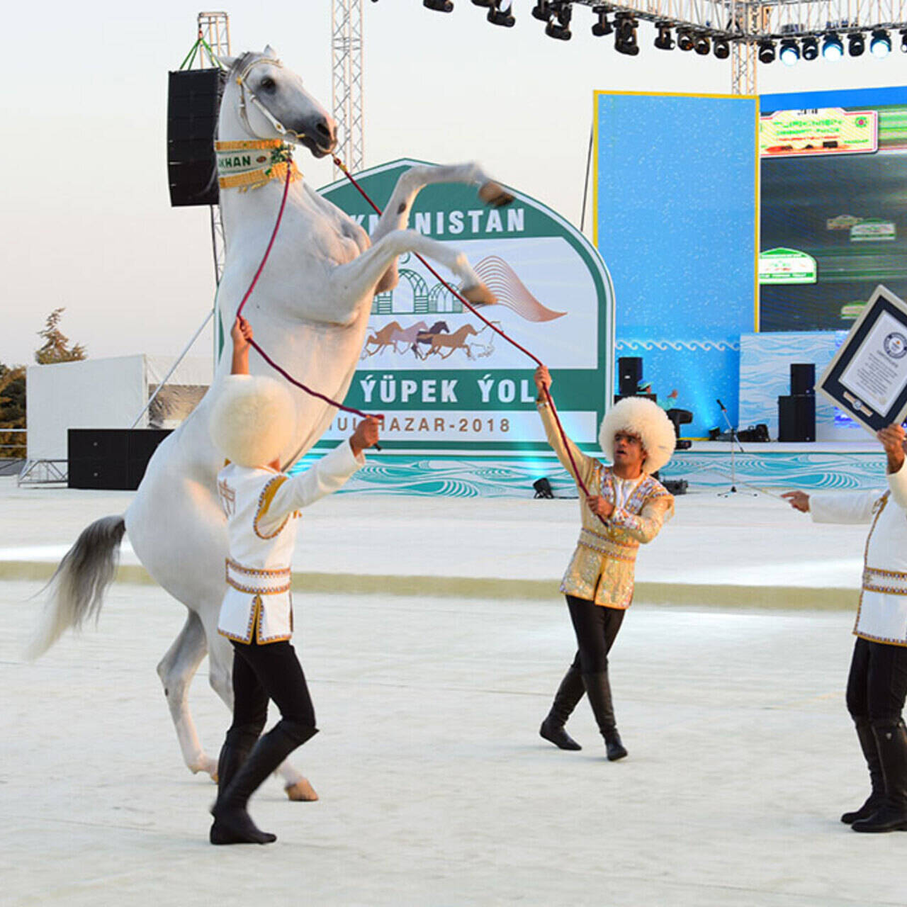 Кличка коня махотина главного вронского на скачках. Конь Бердымухамедова. Известный конь президента Туркменистана. Имя коня президента Туркменистана.