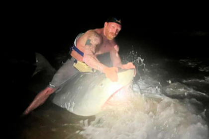 Мужчина  поймал на ската четырехметровую тигровую акулу