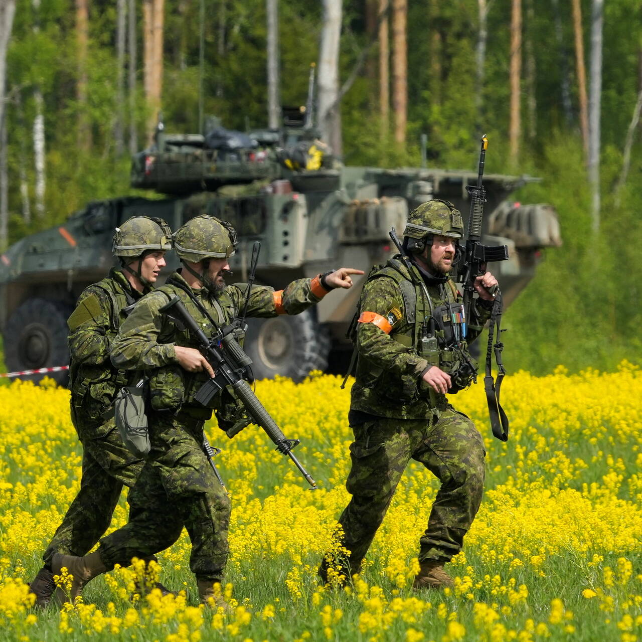 Вызов нато. НАТО. Солдаты НАТО. Фото натовских солдат. Солдаты НАТО фото.