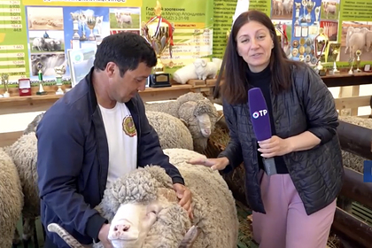 В Волгограде открылась выставка племенных овец и коз