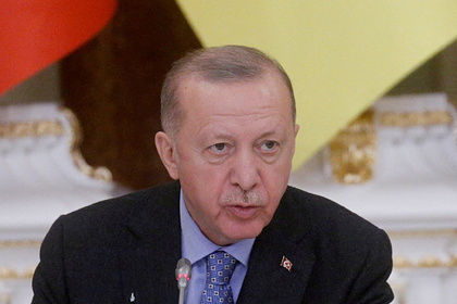 Эрдоган пообещал добиться полного уничтожения террористов в Сирии