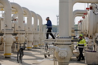 Австрия исключила появление газового эмбарго в новом пакете санкций против РФ 