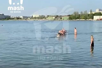 Издевательства над больным дельфином на российском пляже попали на видео