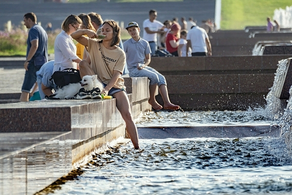 Вводная картинка