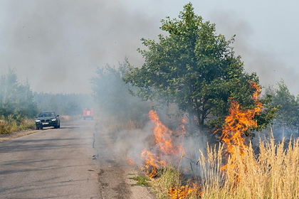 Названы самые уязвимые для пожаров регионы России