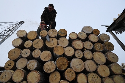В Литве сообщили о дефиците древесины из-за санкций против России и Белоруссии