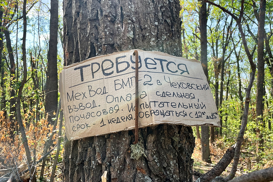 Шуточное объявление, оставленное российскими военными в Шервудском лесу