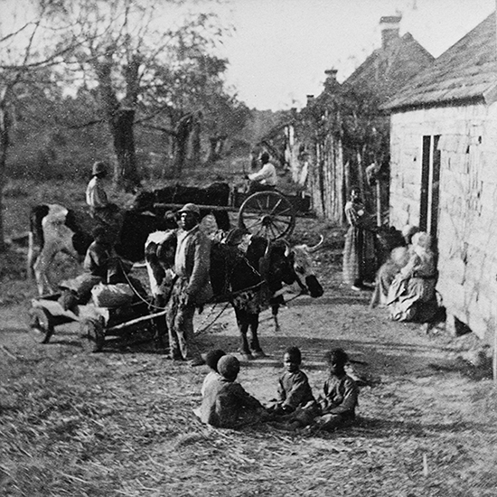 Плантация в Южной Каролине, 1860 год