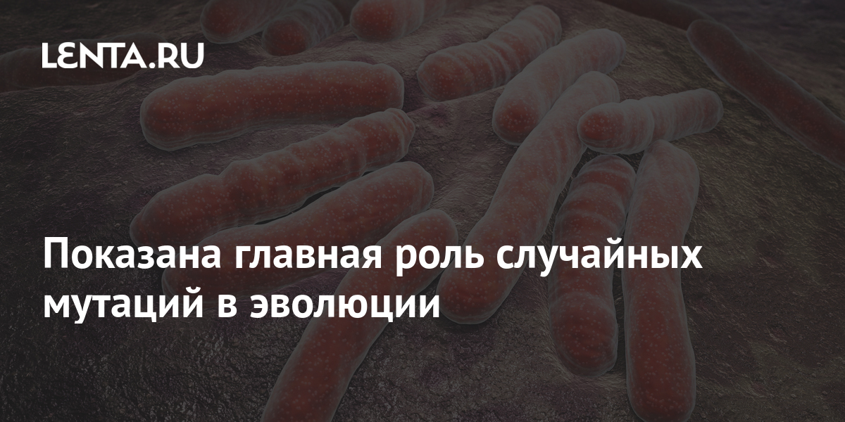 Показана главная роль случайных мутаций в эволюции: Наука: Наука и ...