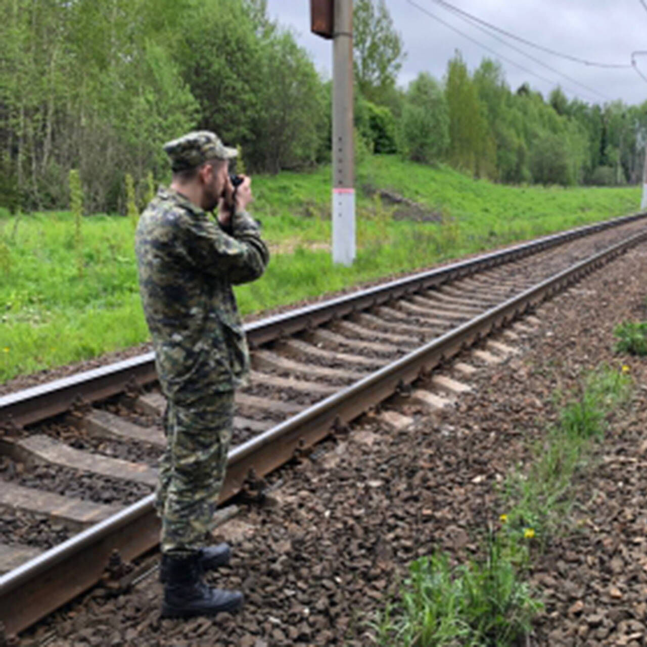 31 поезд москва тамбов