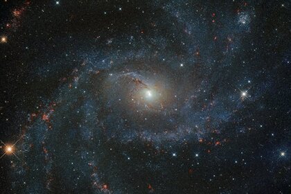 Обнаружена пережившая вспышку сверхновой звезда