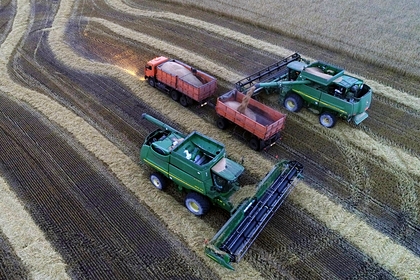 Путин пообещал мировым рынкам 50 миллионов тонн зерна