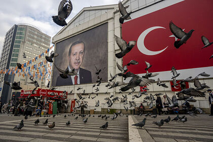 Эрдоган поддержал введение в Турции смертной казни за поджог леса