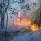 Пожар в нацпарке «Ленские столбы», Якутия. 