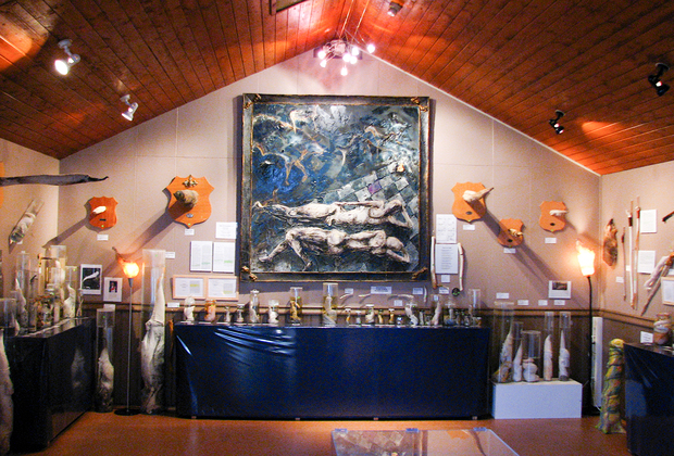Фаллологический музей в Рейкьявике. Фото: Grey / Wikimedia