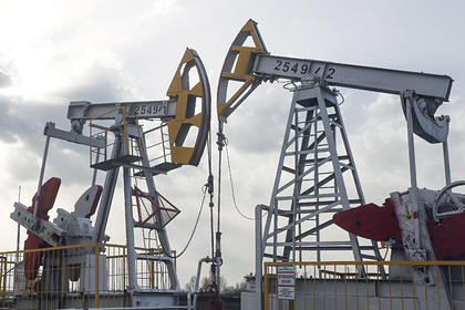 Стали известны подробности о потолке цен на российскую нефть