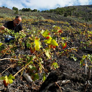 В Испании и Португалии спрогнозировали наступление рекордных засух