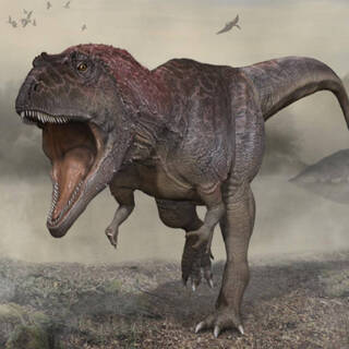 Обнаружен новый вид хищного динозавра с маленькими «ручками»