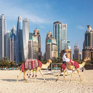 Дубай возраст города население real estate investment