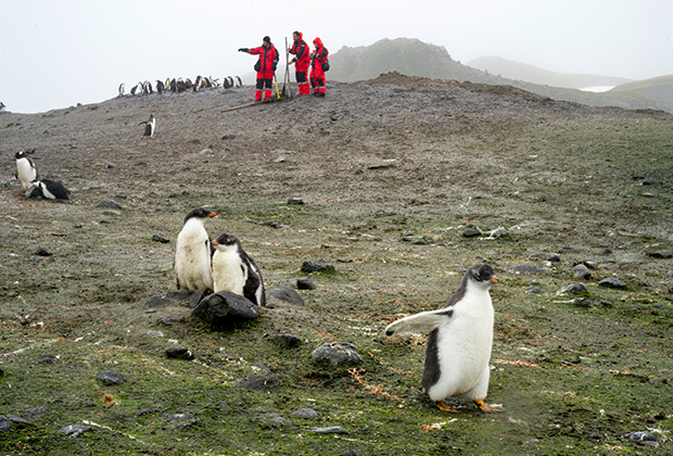 Участники антарктической экспедиции из Эквадора в начале 2022 года