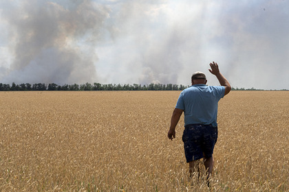 Названы потери объема урожая у запорожских фермеров из-за обстрелов
