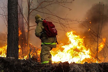 Двое россиян заживо сгорели в доме в лесу