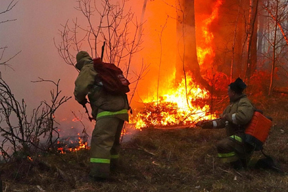 В двух регионах России из-за лесных пожаров ввели режим ЧС федерального уровня