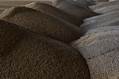 Украина подписала свою часть соглашения об экспорте зерна