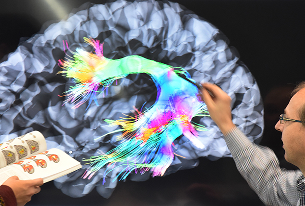 Исследователям еще только предстоит узнать, как связывать мозг человека напрямую с машинами