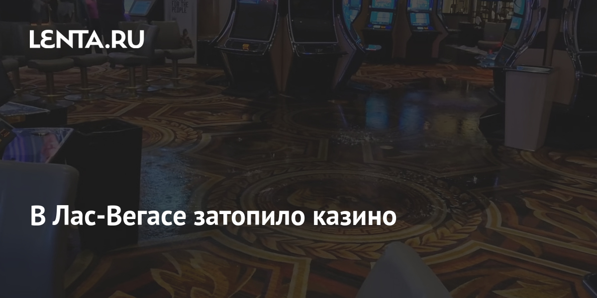 казино в мост казино в мост