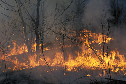 В России нашли незамеченный пожар на десятки тысяч гектаров