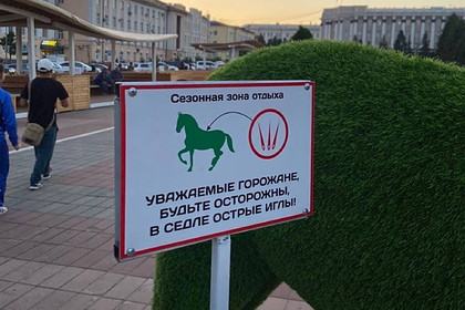 Власти российского города решили отпугивать жителей от лошадей иглами