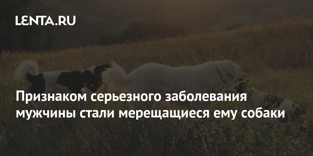 ноах милграм прокрастинация болезнь современности.