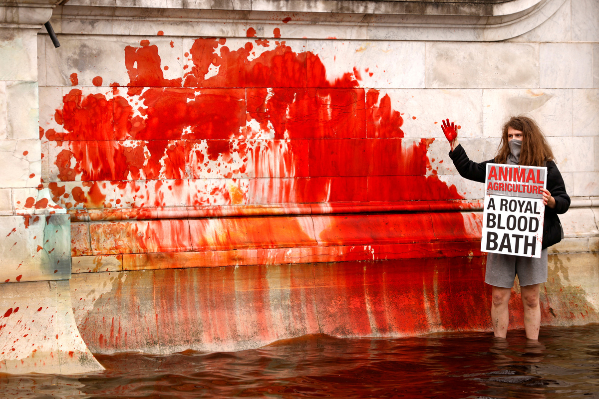 Активист Animal Rebellion во время протеста у фонтана Букингемского дворца