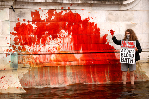 Активист Animal Rebellion во время протеста у фонтана Букингемского дворца. Фото: John Sibley / Reuters