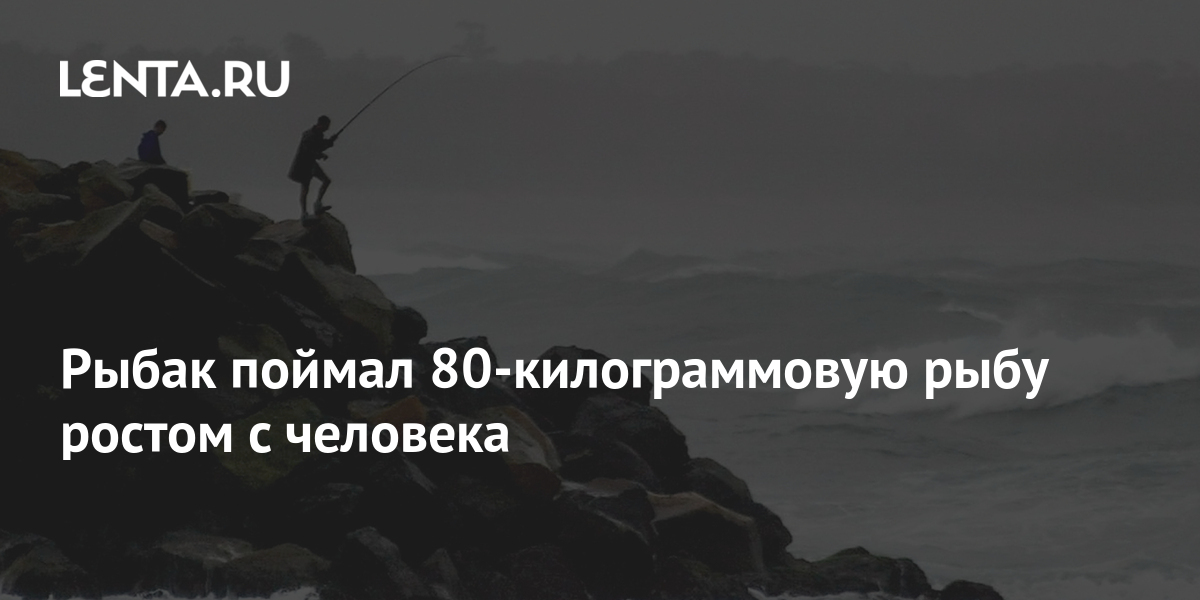 Рыбак поймал 80-килограммовую рыбу ростом с человека: Звери: Из жизни ...