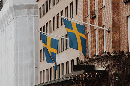 МИД Швеции отреагировал на задержание в ДНР своего гражданина