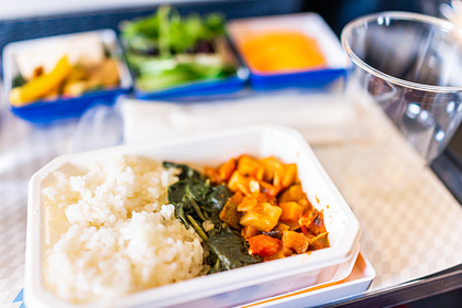 Заказавшую  веганское питание авиапассажирку заставили голодать 10 часов полета