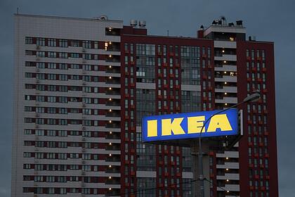 Психолог объяснила причины ажиотажного спроса на распродаже товаров IKEA