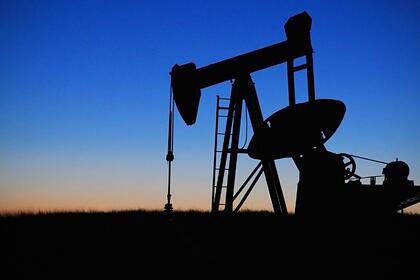 В Чехии заявили о наличии стратегических запасов нефти