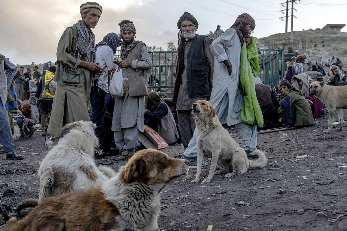Кабул, место сбора употребляющих наркотики. Собаки тоже наркозависимые
