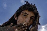 Опиумные плантации и лагеря для наркоманов. Как талибы загнали миллионы афганцев в героиновое рабство