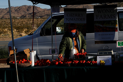 Сильнейшая  за тысячелетие засуха привела к подорожанию кетчупа в США